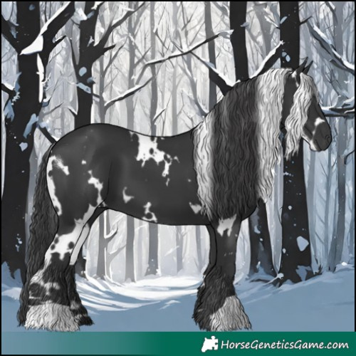 Horse Color:White Spotted Black 