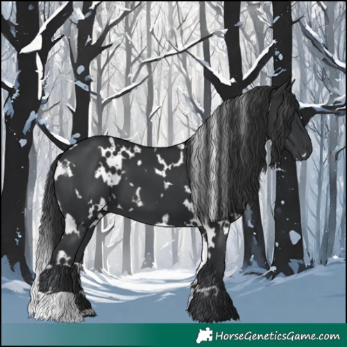 Horse Color:White Spotted Black 