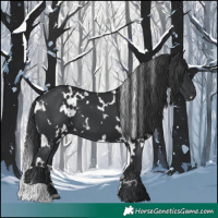 Horse Color:White Spotted Black