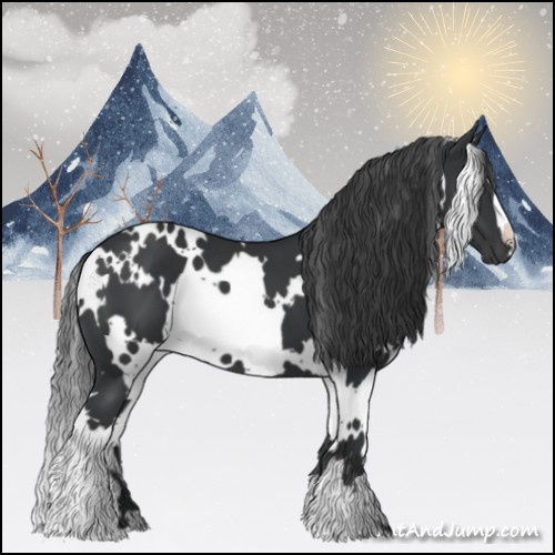 Horse Color:White Spotted Black 