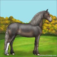 Horse Color:Silver Black 