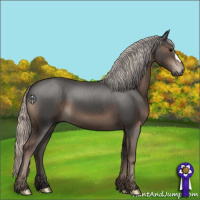 Horse Color:Silver Black 