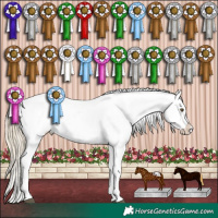 Horse Color:White Spotted Chocolate Palomino Snowflake Varnish