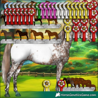 Horse Color:White Spotted Liver Chestnut Appaloosa