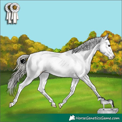 Horse Color:White Spotted Silver Smoky Black Near Leopard 