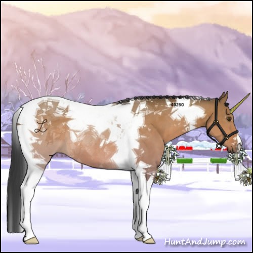 Horse Color:Brown Dun Tobiano 