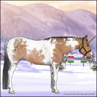 Horse Color:Brown Dun Tobiano 