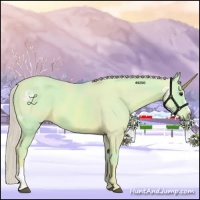 Horse Color:Watercolor Chestnut Sabino 