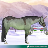 Horse Color:Brown Dun 