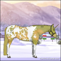 Horse Color:Watercolor Chestnut Tobiano Appaloosa 