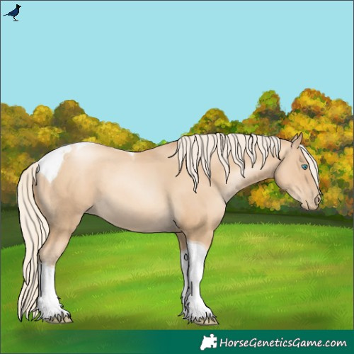Horse Color:Gold Cream Champagne Pearl Tobiano 