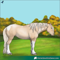 Horse Color:Gold Cream Champagne Pearl Tobiano
