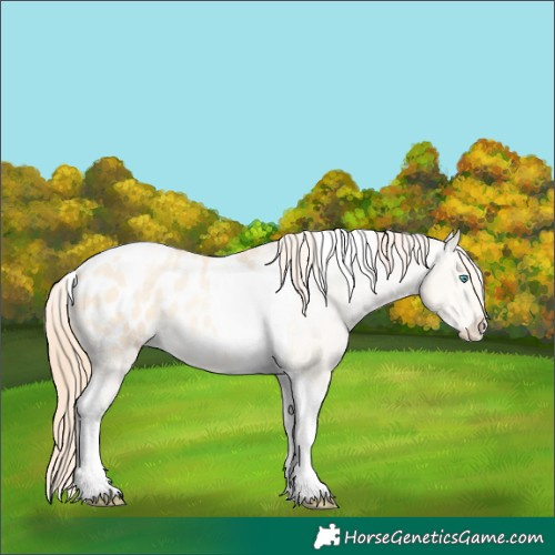 Horse Color:Amber Cream Champagne Pearl Tobiano Appaloosa 