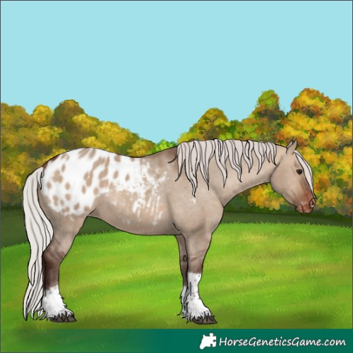 Horse Color:Silver Brown Dun Tobiano Blanket 