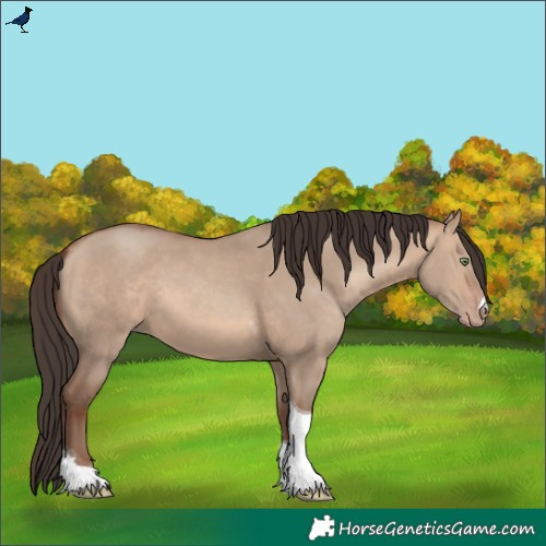 Horse Color:Sable Champagne Dun Tobiano 