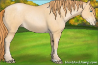 Horse Color:Buckskin Pearl 