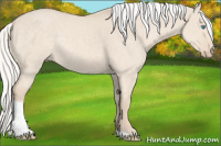 Horse Color:Silver Smoky Creme Dun Tobiano Rabicano