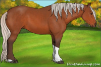Horse Color:Silver Brown Tobiano Rabicano 