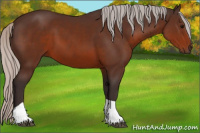 Horse Color:Silver Brown Tobiano 