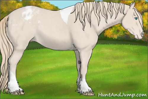 Horse Color:Smoky Creme Tobiano Appaloosa 