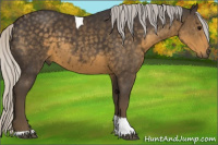 Horse Color:Silver Smoky Black Tobiano Rabicano