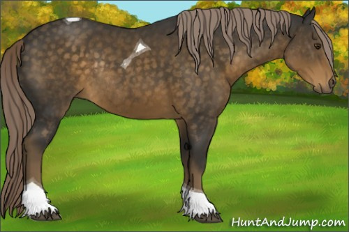 Horse Color:Chocolate Palomino Tobiano Rabicano 
