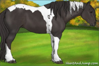 Horse Color:Smoky Black Tobiano 