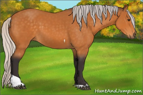 Horse Color:Silver Buckskin Tobiano Rabicano 