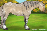 Horse Color:Silver Buckskin Ice Dun Tobiano Rabicano