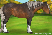 Horse Color:Silver Buckskin Tobiano Rabicano 