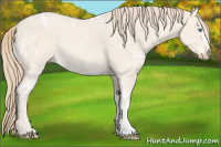 Horse Color:Perlino Ice Rabicano