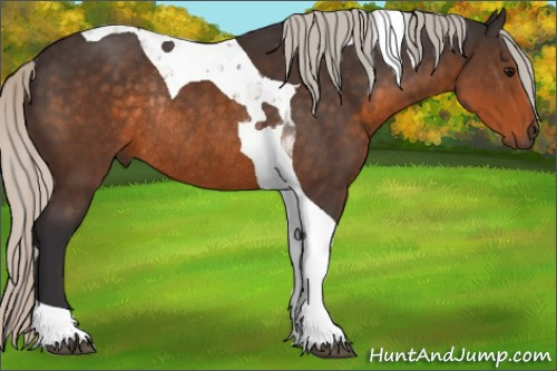 Horse Color:Silver Buckskin Tobiano Rabicano