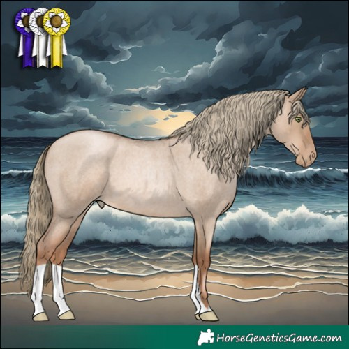Horse Color:Liver Red Dun Roan Pearl 