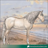 Horse Color:Chocolate Palomino Pearl Dun 