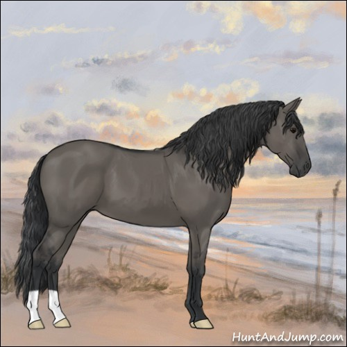 Horse Color:Grullo