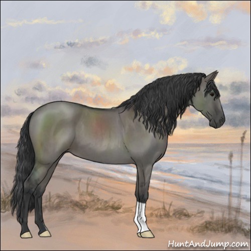 Horse Color:Grullo Roan 