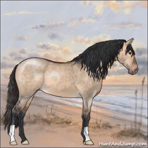 Horse Color:Bay Dun