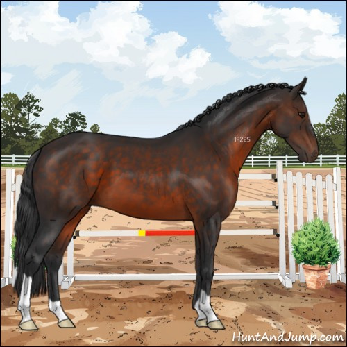 Horse Color:Brown 