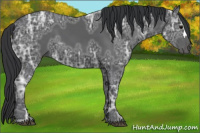 Horse Color:Black Ice 