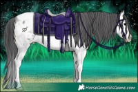 Horse Color:Blue Onyx Sabino Splash Snowcap Rabicano 