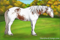 Horse Color:White Spotted Silver Brown Tobiano
