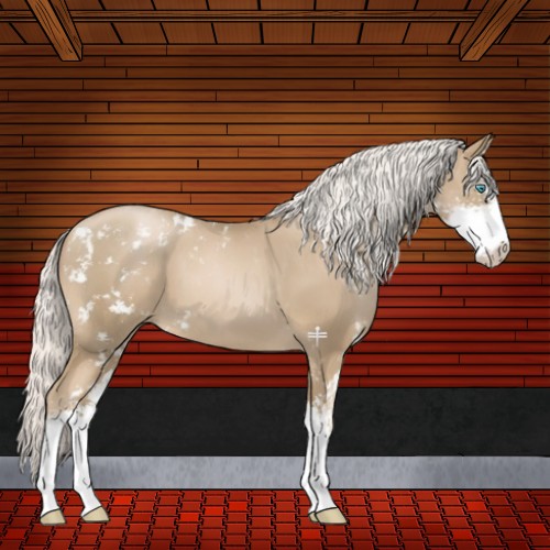 Horse Color:Silver Smoky Black Pearl Sabino 