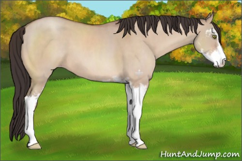 Horse Color:Sable Champagne Dun Sabino 