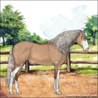 Horse Color:Silver Bay Dun Sabino