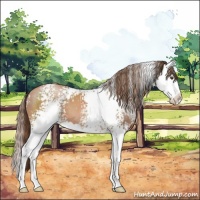 Horse Color:White Spotted Brown Pearl Splash 