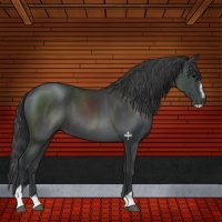 Horse Color:Black Sabino