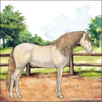 Horse Color:White Spotted Buckskin Pearl Sabino Rabicano