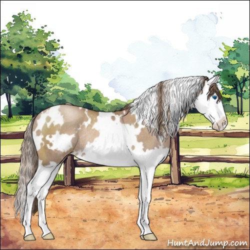 Horse Color:White Spotted Black Pearl Sabino Splash Rabicano 