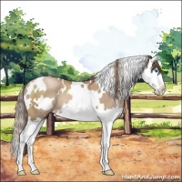 Horse Color:White Spotted Black Pearl Sabino Splash Rabicano 