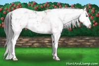 Horse Color:Brown Sabino Splash 